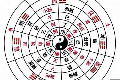 全阳八字|八字全阳的人为何特殊？这样的人命运好不好？